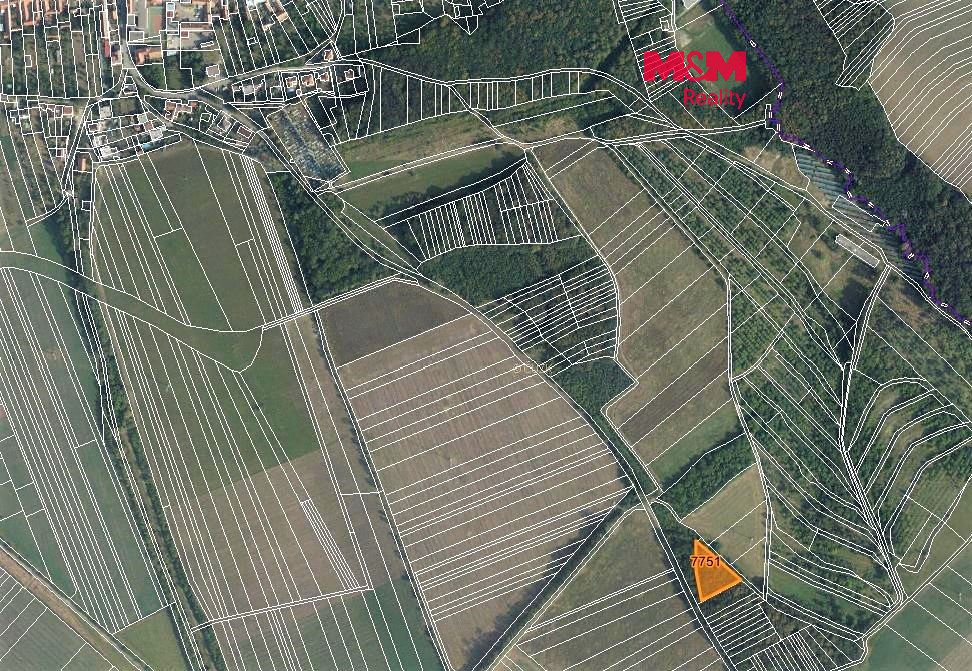 Prodej lesa 2314 m², Lipov – fotka 1 z 3