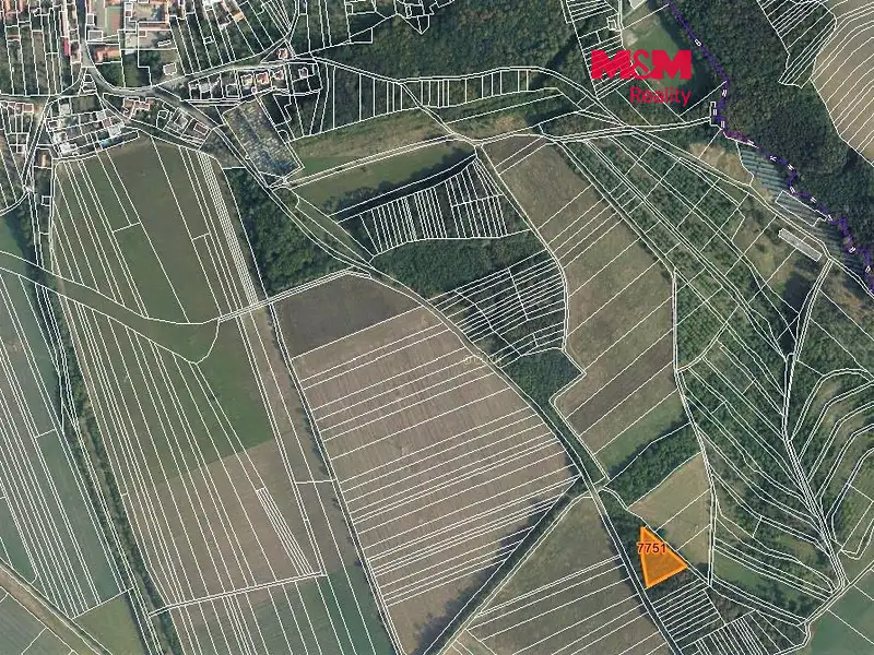 Prodej lesa 2314 m², Lipov – náhled fotky 1