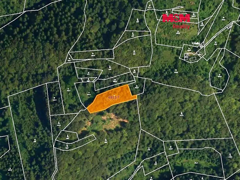 Prodej lesa 3244 m², Halenkov – náhled fotky 1