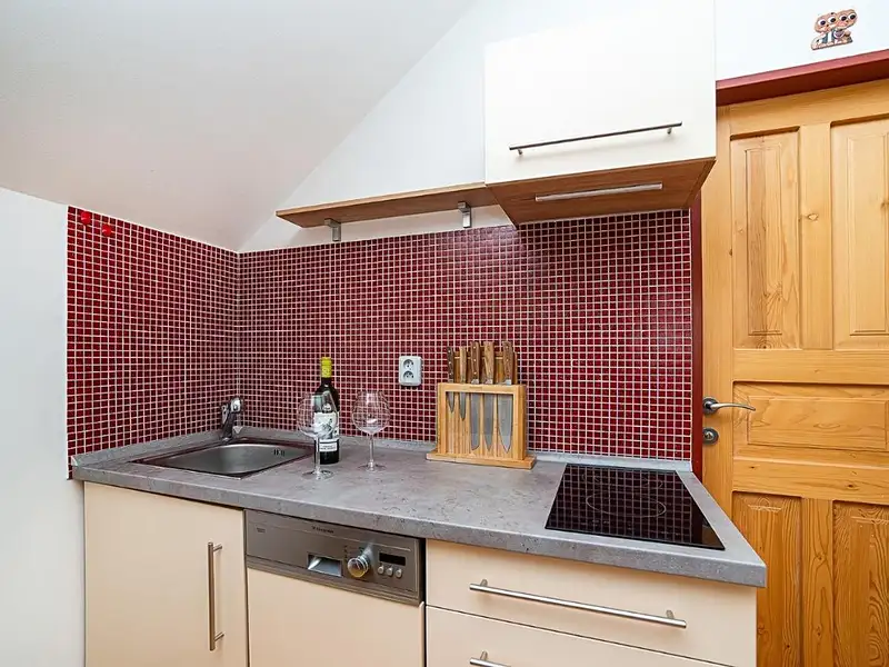 Pronájem bytu 2+kk 45 m², Dolní Morava – náhled fotky 3