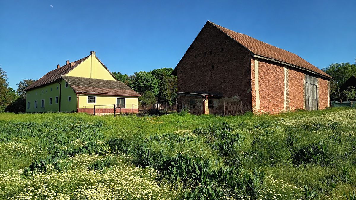 Prodej zemědělské usedlosti 150 m², pozemek 7248 m² – fotografie 4