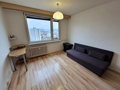 Wohnung 1+kk zur Miete, 24 m² (2 von 7)