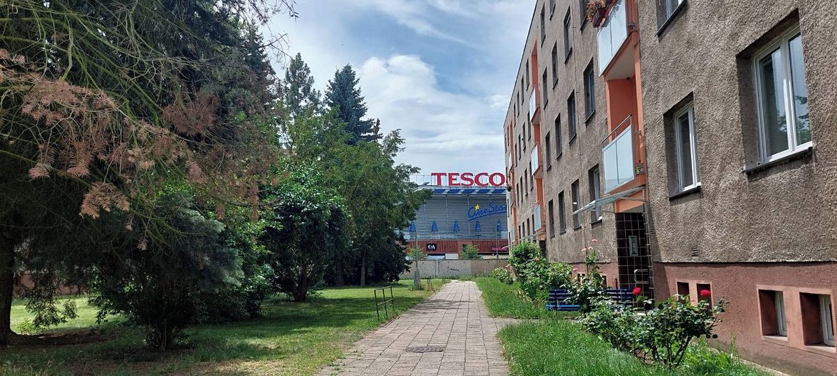 Pronájem bytu 3+1 69 m² – fotografie 3