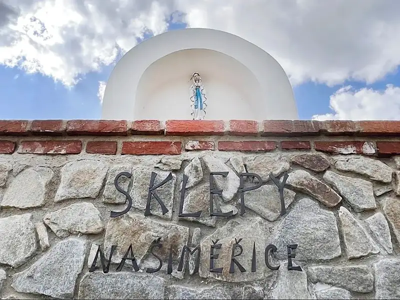 Prodej vinného sklepa 80 m², Našiměřice – náhled fotky 2