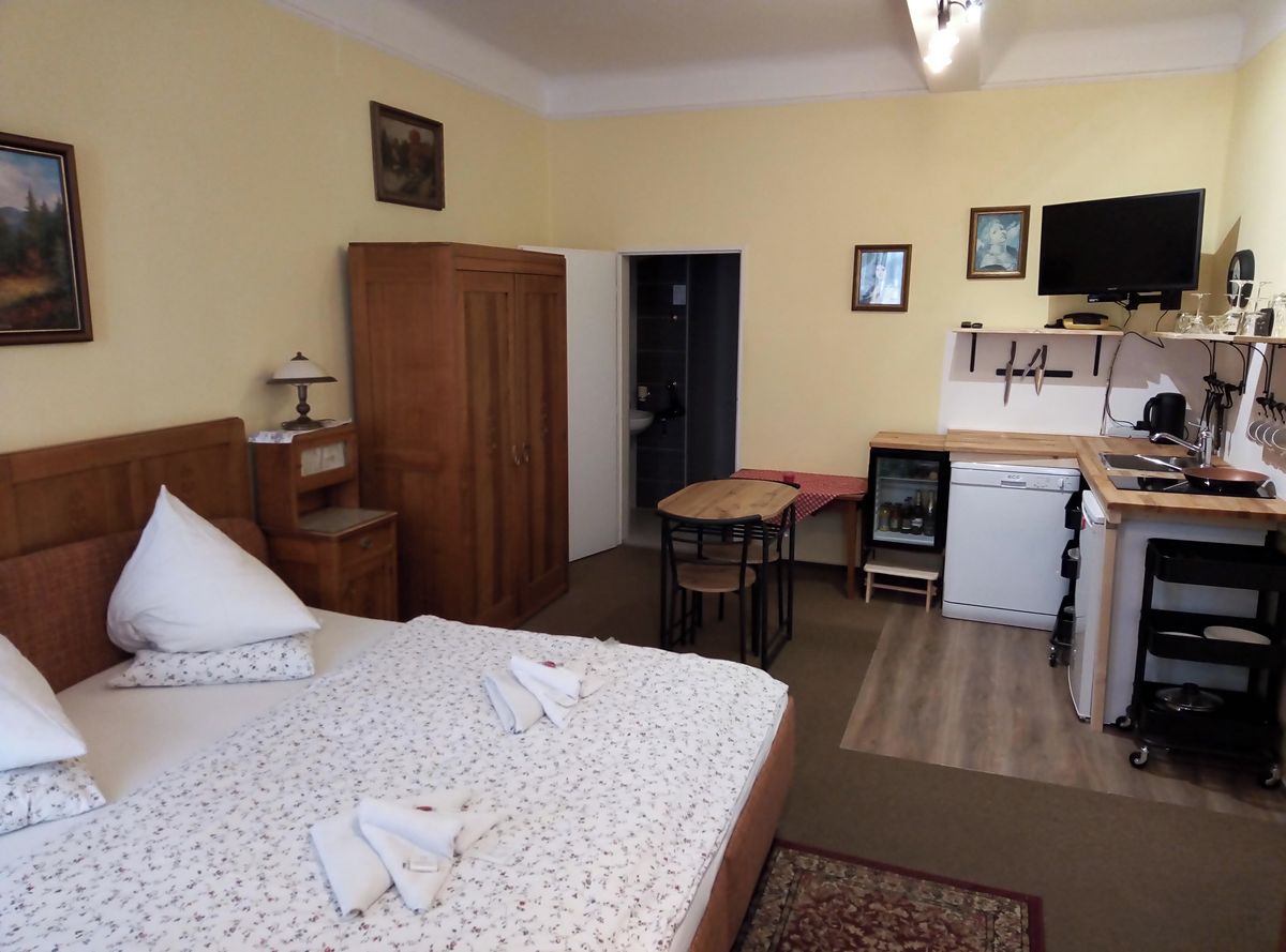 Pronájem bytu 1+kk 29 m² – fotografie 3