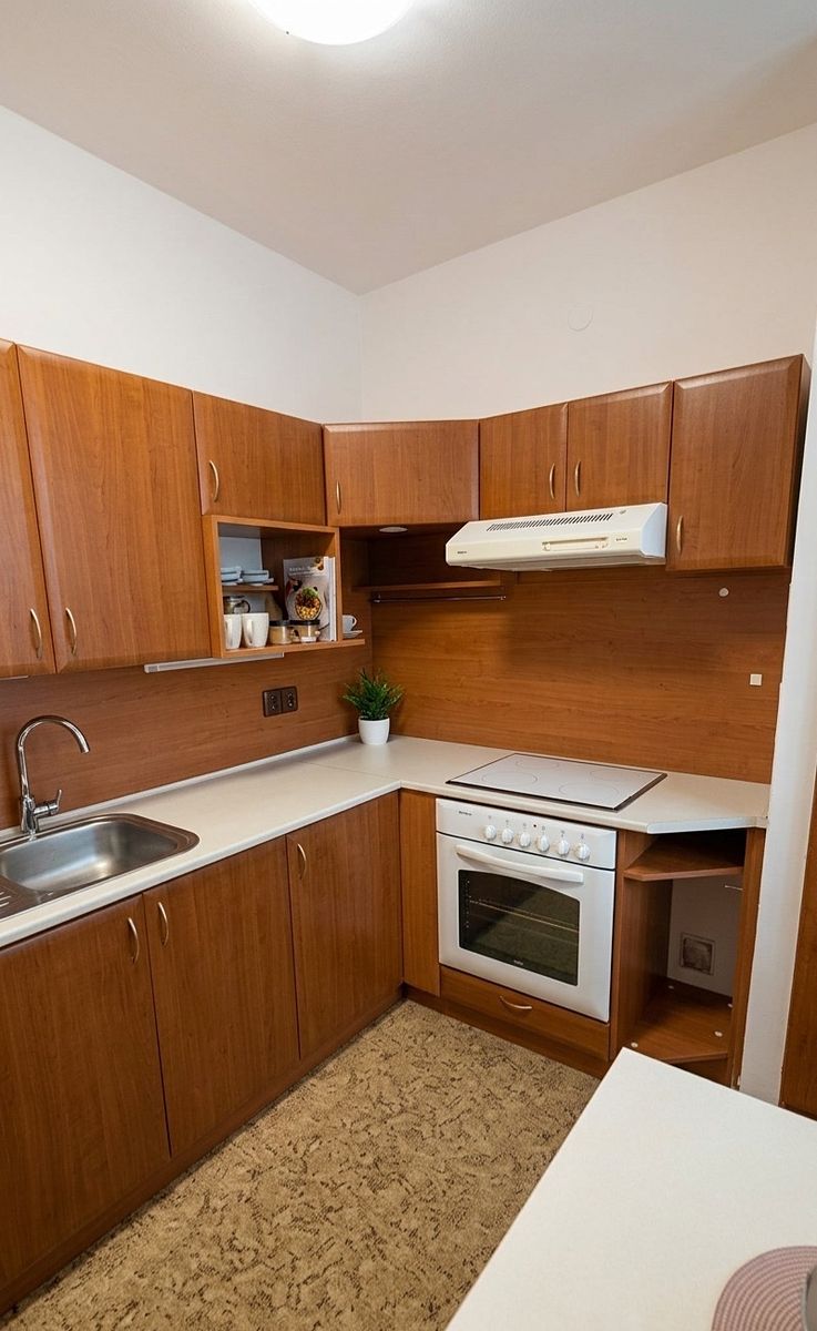 Pronájem bytu 3+1 74 m² – fotografie 5