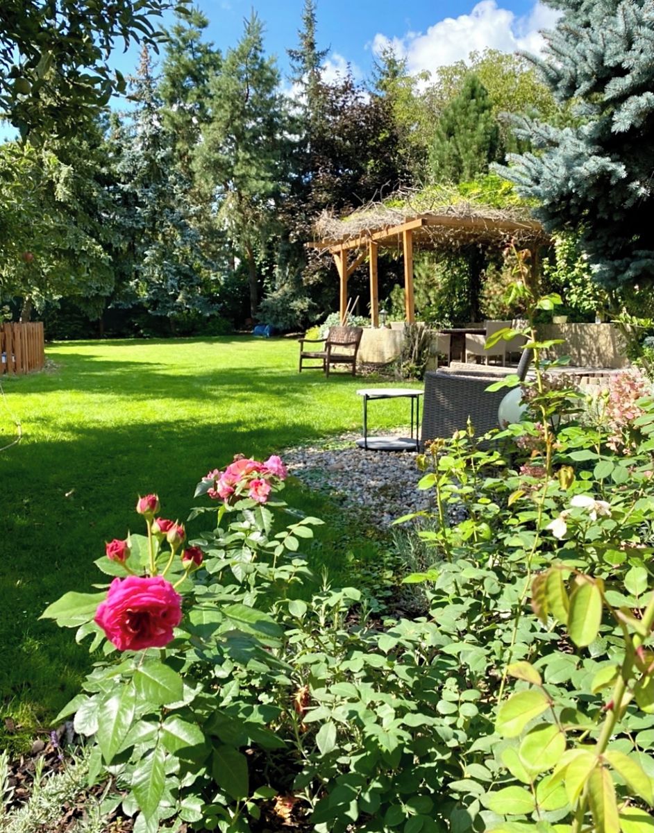 Prodej rodinného domu 341 m², pozemek 1516 m² – fotografie 2
