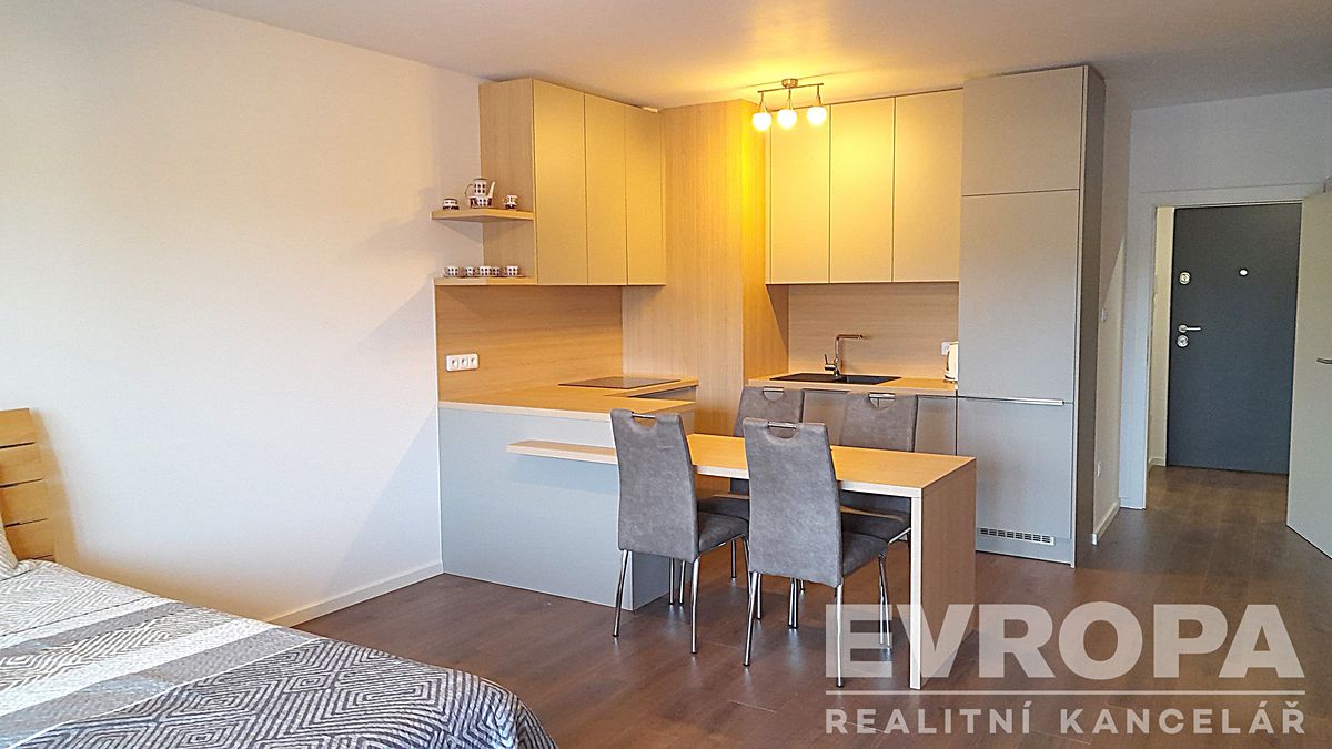Pronájem bytu 1+kk 49 m² – fotografie 3