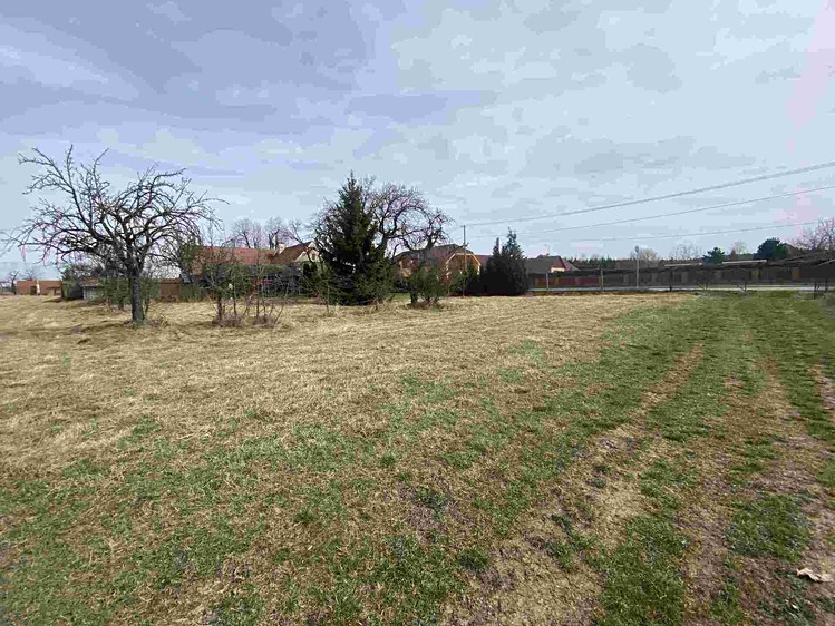 Grundstück zum Kauf, 1.254 m² (7 von 9)