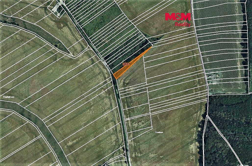 Prodej lesa 1278 m², Mouřínov – fotka 1 z 3