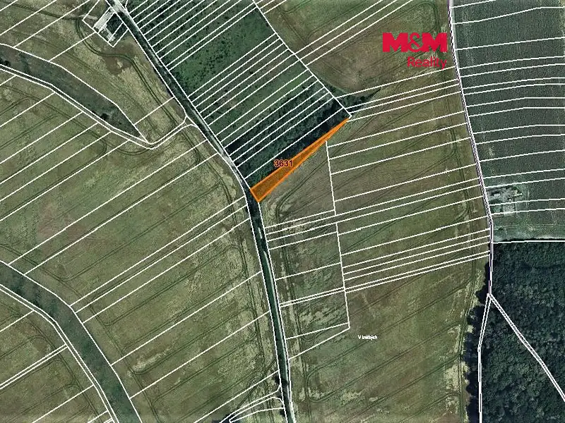 Prodej lesa 1278 m², Mouřínov – náhled fotky 1