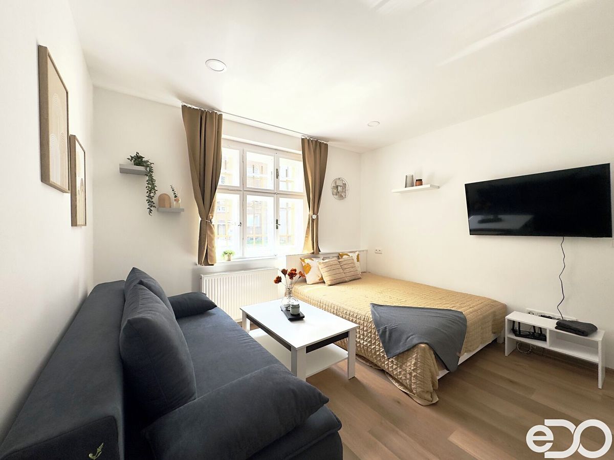 Pronájem bytu 1+kk 28 m² – fotografie 3