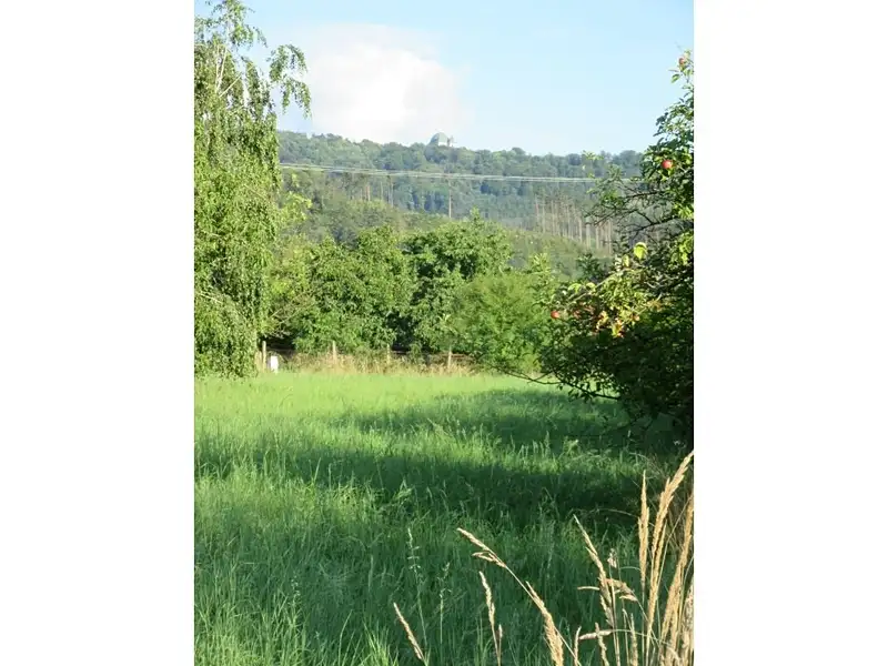 Prodej sadu, vinice 6057 m², Bystřice pod Hostýnem – náhled fotky 3