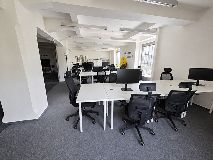 Pronájem komerčního prostoru, 650 m² (10 z 14)