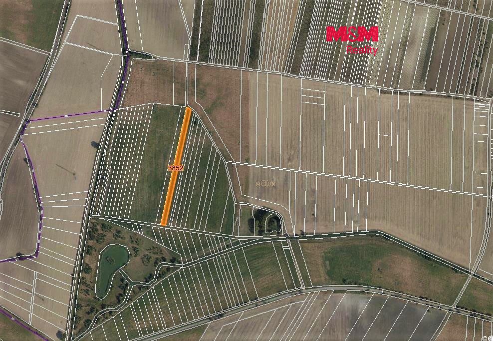 Prodej pole 3419 m², Starovičky – fotka 1 z 3