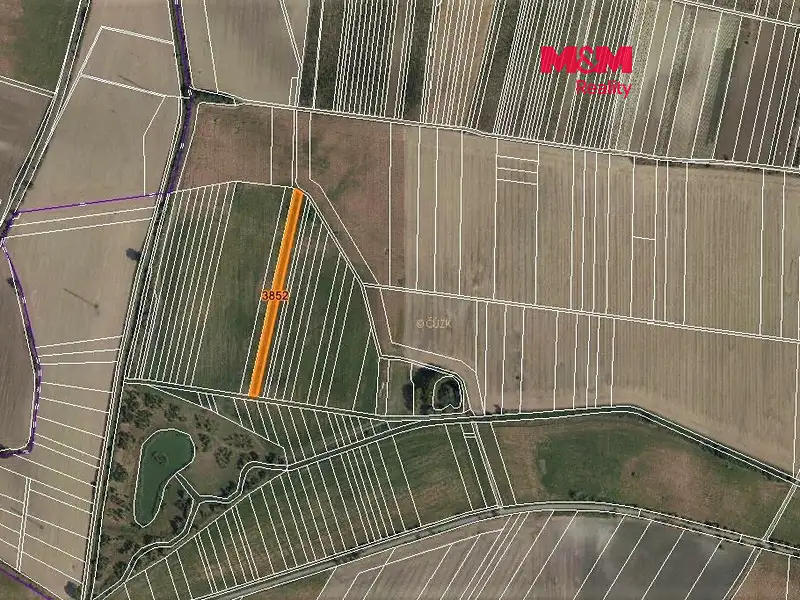 Prodej pole 3419 m², Starovičky – náhled fotky 1