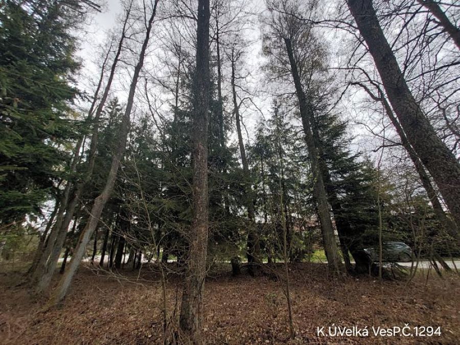 Prodej lesa 1012 m²