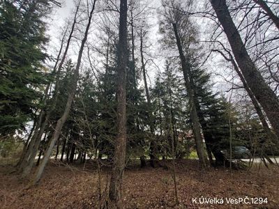Prodej lesa 1012 m²