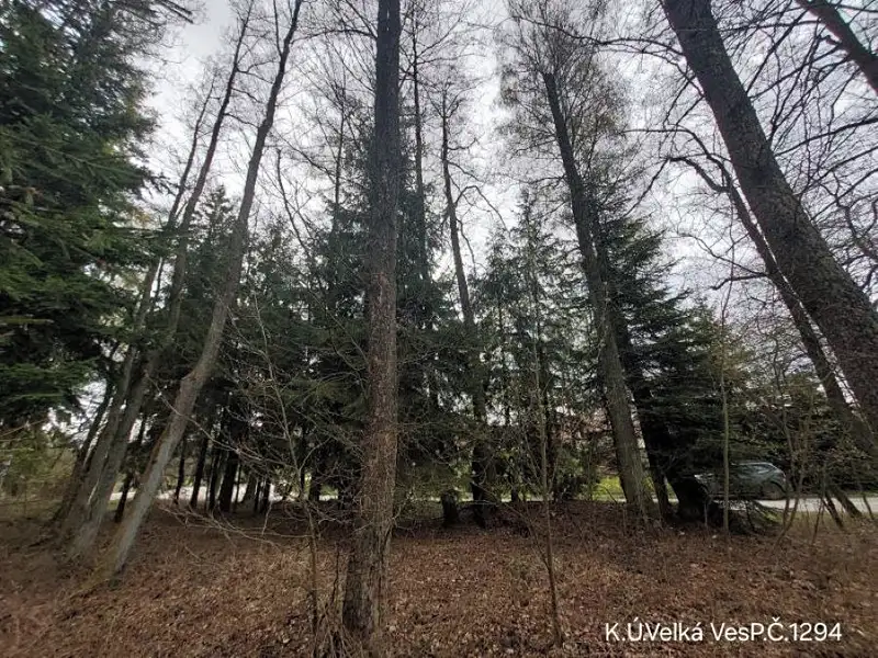 Prodej lesa 1012 m², Lukavec – náhled fotky 1