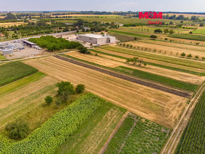 Prodej pole 2005 m², Podivín – náhled fotky 1