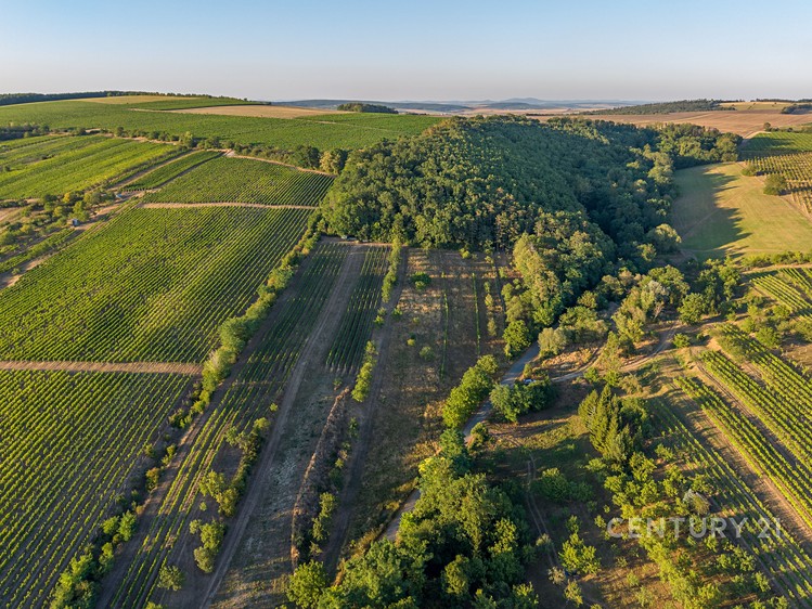 Prodej nemovitosti, 83 m² (26 z 31)