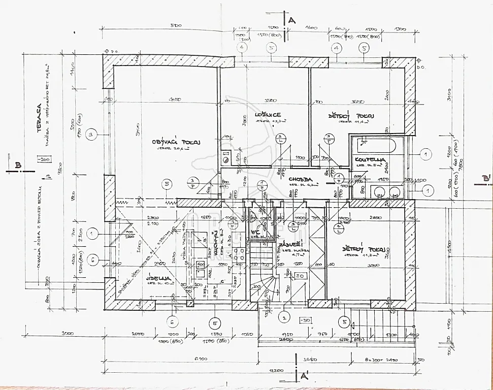 Fotka 11 z 30