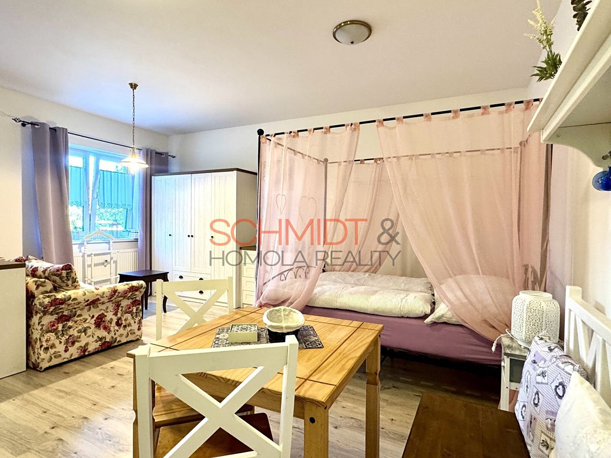 Pronájem bytu 1+kk 39 m²