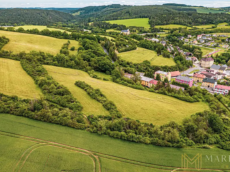 Prodej louky 20969 m², Manětín – náhled fotky 3