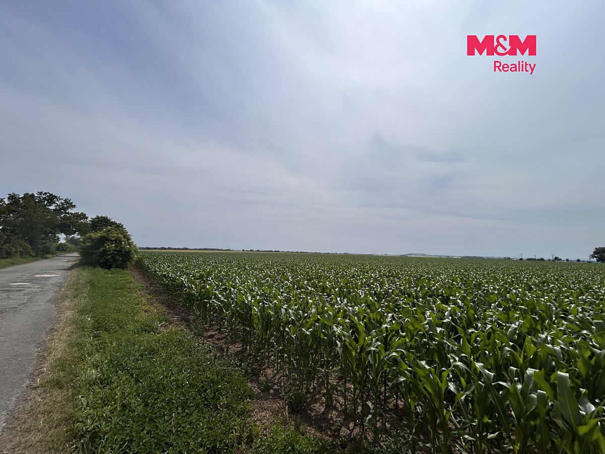 Prodej pole 8491 m² – fotografie 2