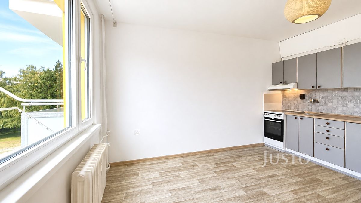 Pronájem bytu 1+kk 19 m² – fotografie 3