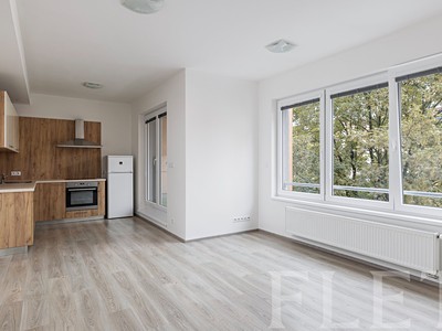 Pronájem bytu 1+kk 37 m²