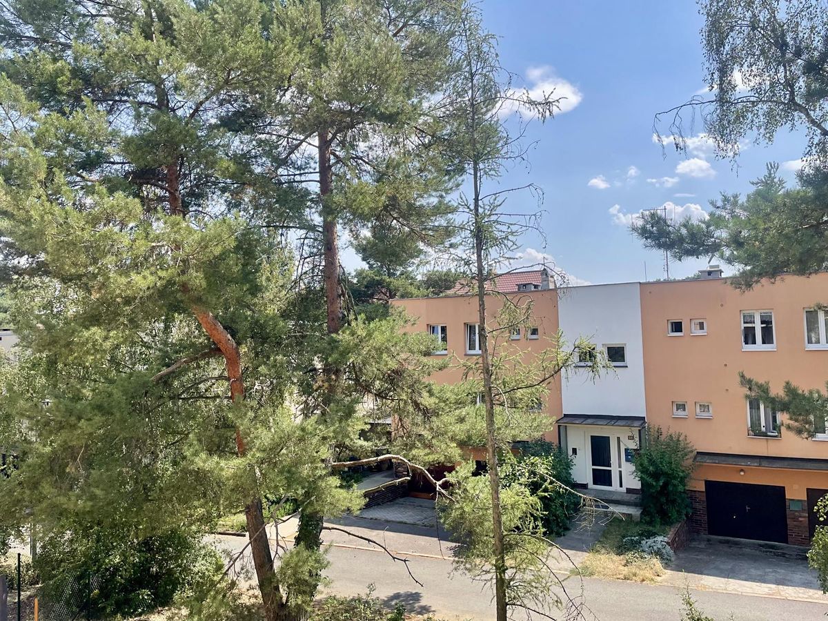Pronájem bytu 3+1 81 m² – fotografie 2