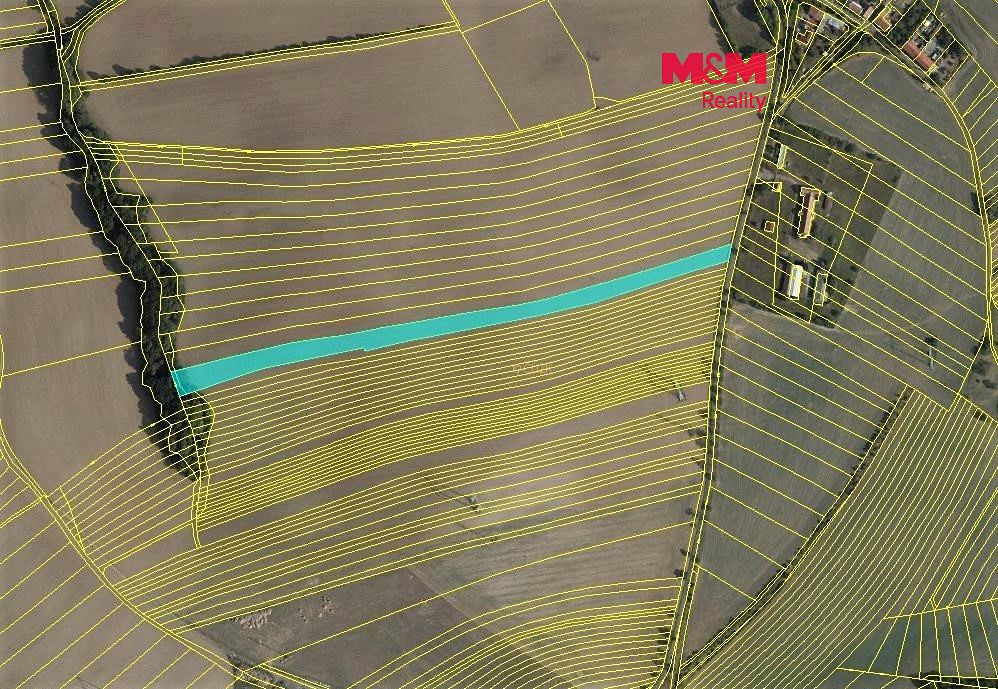 Prodej pole 1371 m², Soběsuky – fotka 1 z 3