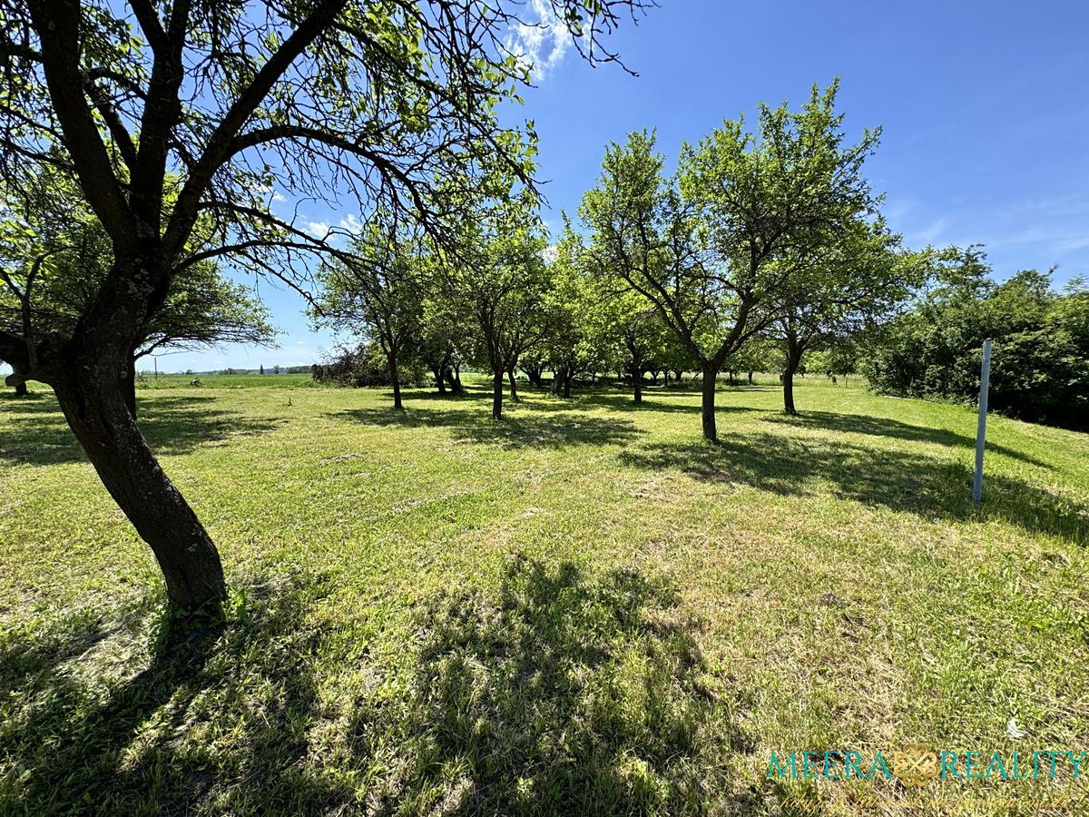 Prodej stavebního pozemku 2980 m² – fotografie 3