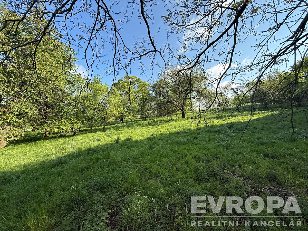 Pronájem zahrady 3333 m² – fotografie 3