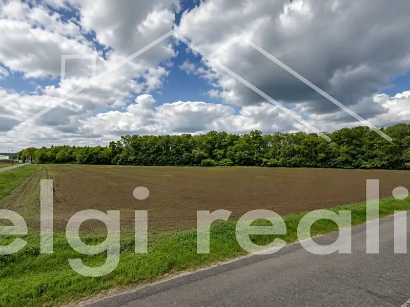Prodej komerčního pozemku 14000 m², Hrušovany nad Jevišovkou – náhled fotky 1