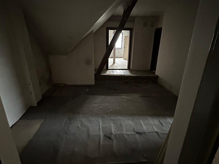 Prodej domu, 550 m² (2 z 8)