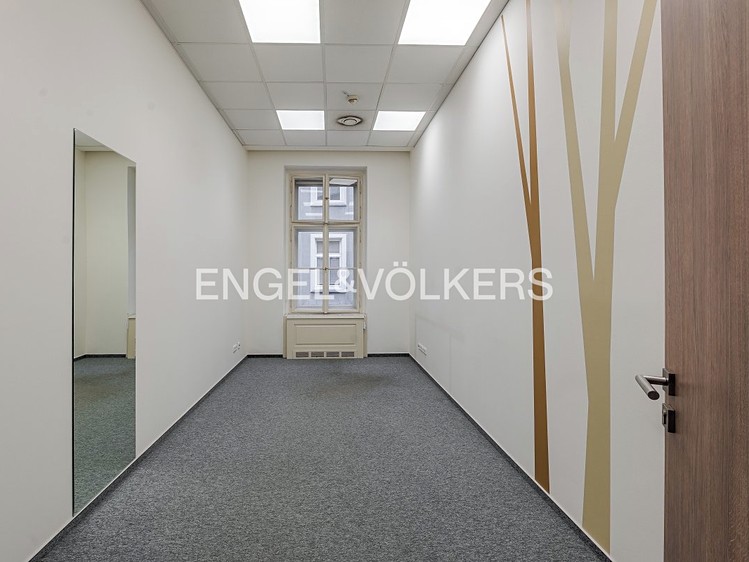 Комерційне приміщення в оренду, 300 м² (12 з 18)