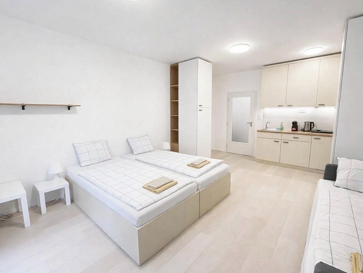 Wohnung 1+kk zur Miete, 30 m² (1 von 9)