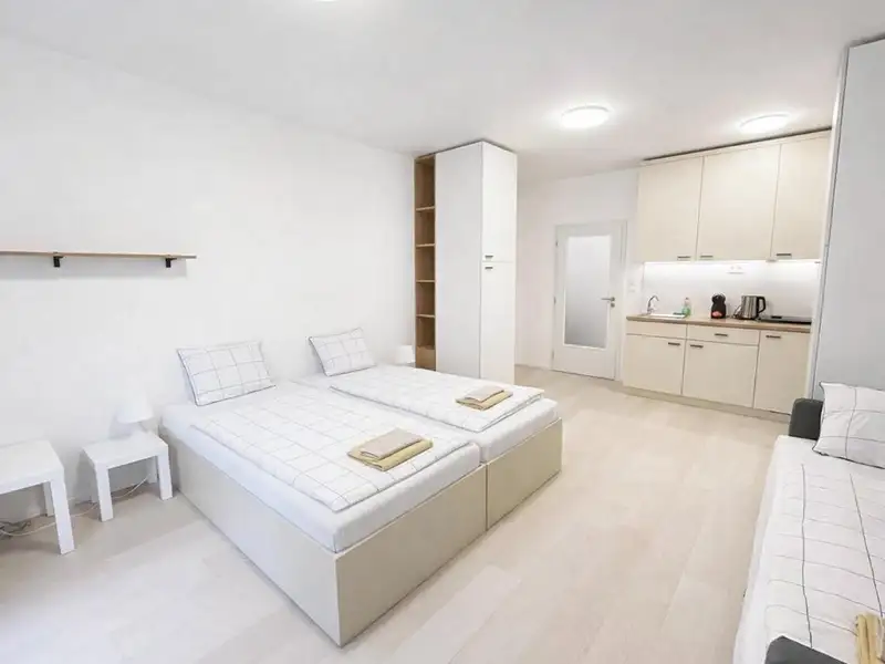 Pronájem bytu 1+kk 30 m², Brno – náhled fotky 1