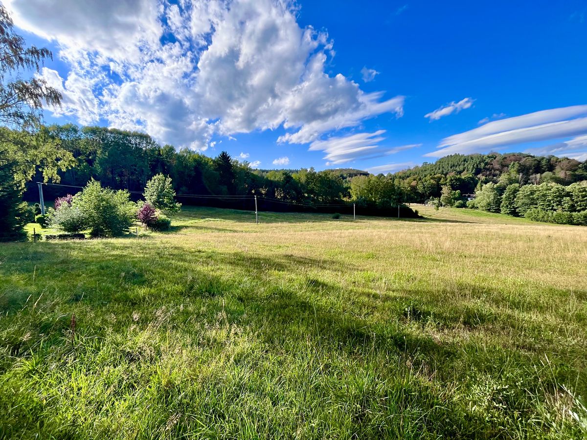 Prodej louky 5614 m², Brloh – fotka 1 z 3