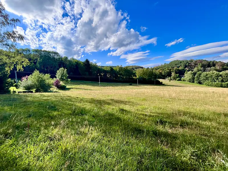 Prodej louky 5614 m², Brloh – náhled fotky 1