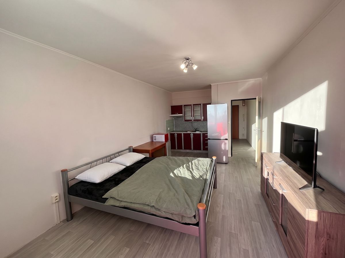 Pronájem bytu 1+kk 33 m² – fotografie 2