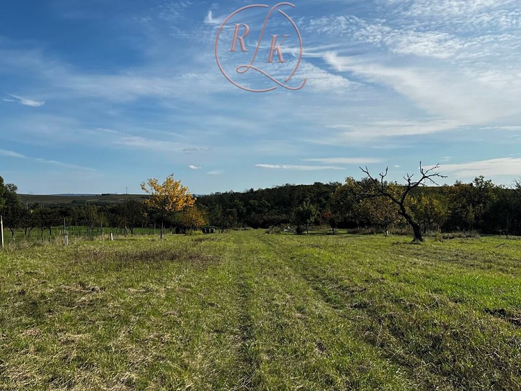 Prodej pozemku, 5 666 m² (17 z 29)