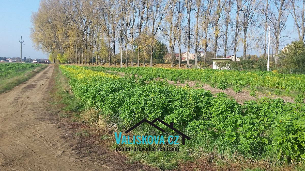 Prodej pole 710 m² – fotografie 2