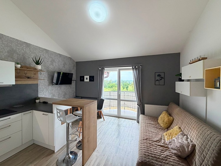 Wohnung 2+kk zur Miete, 43 m² (4 von 18)