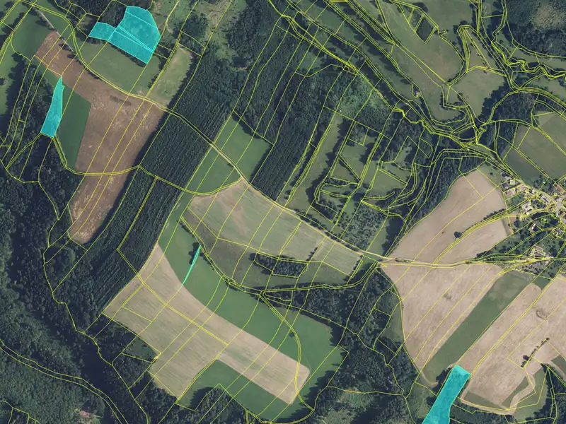 Prodej lesa 4478 m², Zábřeh – náhled fotky 3