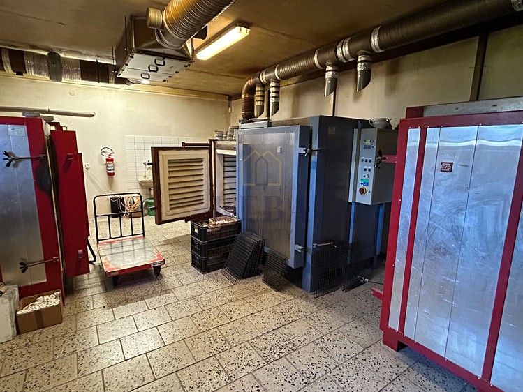 Prodej komerčního prostoru, 435 m² (9 z 13)