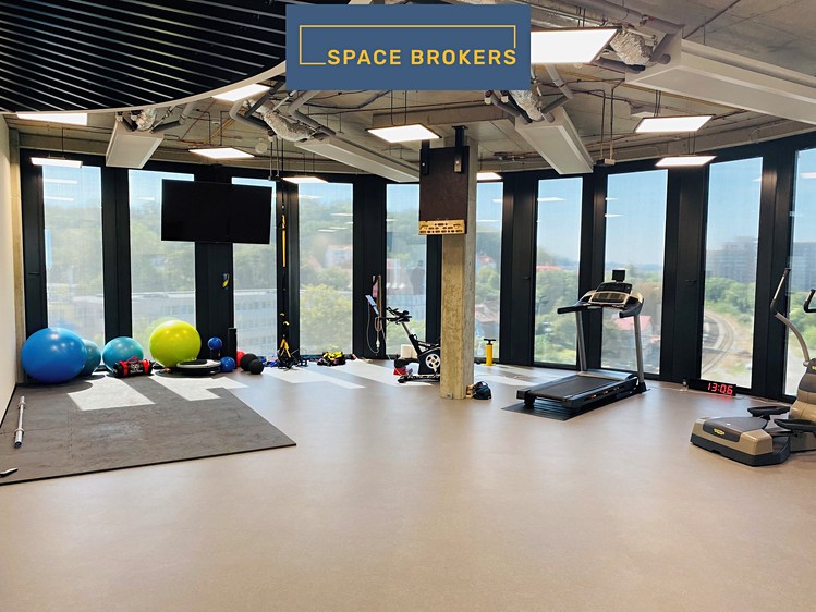 Gewerbefläche zur Miete, 520 m² (7 von 17)