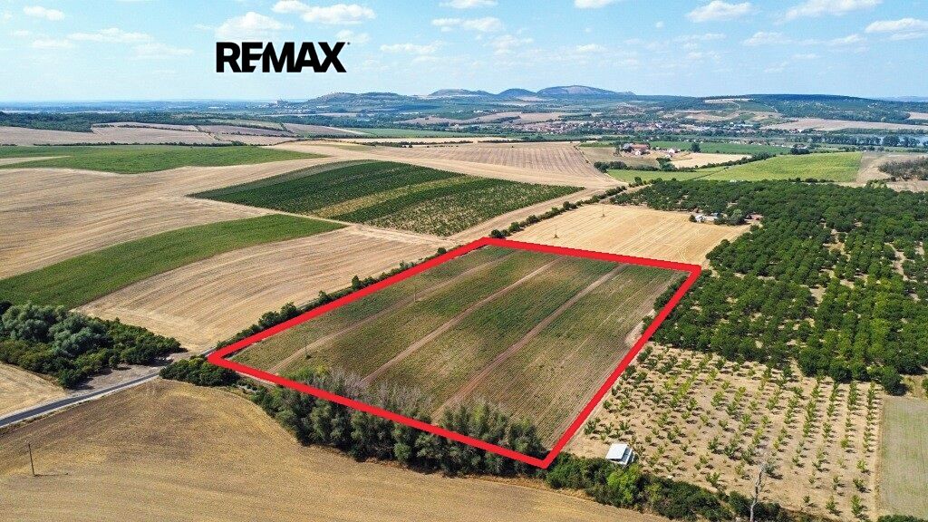 Prodej sadu, vinice 39611 m²